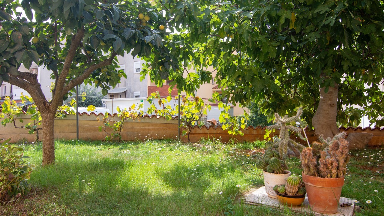 Photo of Others in Stinjan