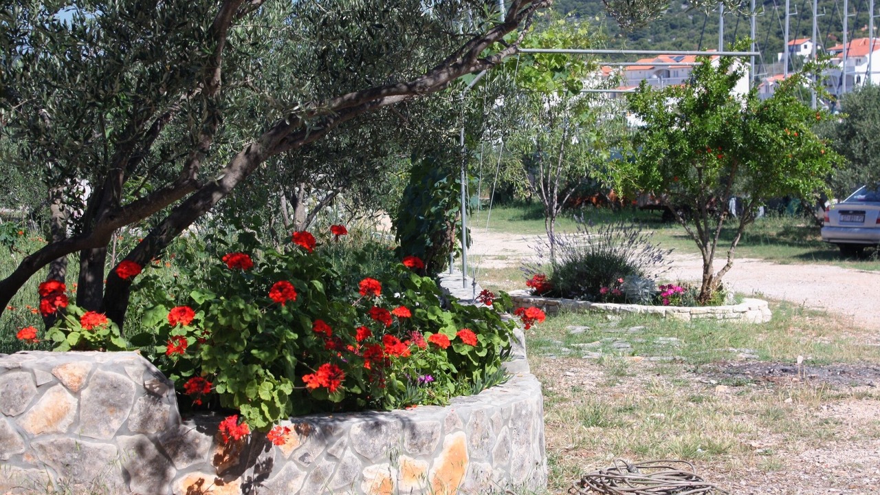 Photo of Outdoor in Jezera