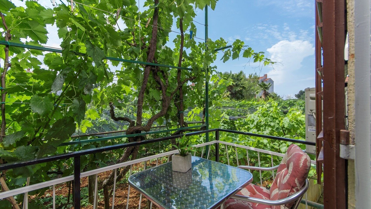 Photo of Outdoor in Porec