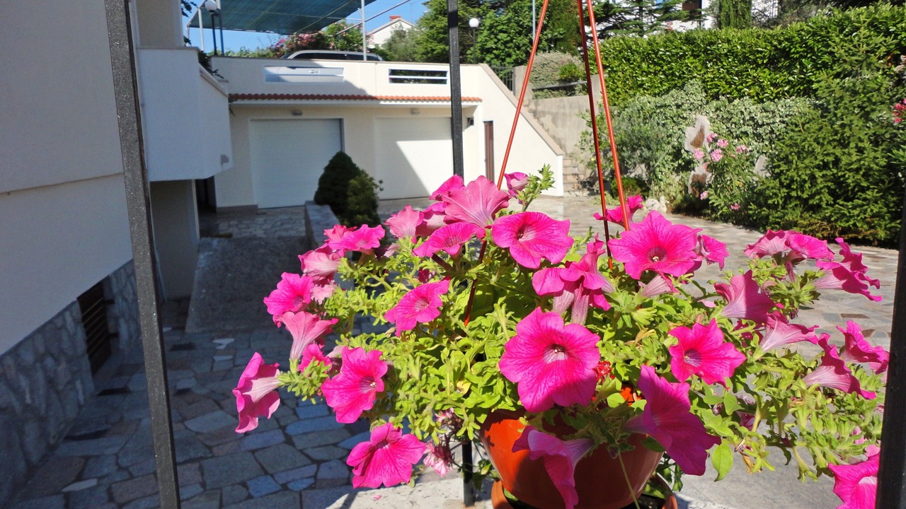 Photo of Outdoor in Krk