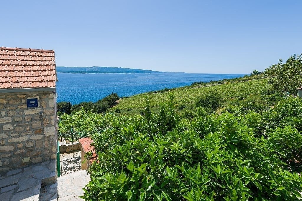 Photo of Others in Murvica