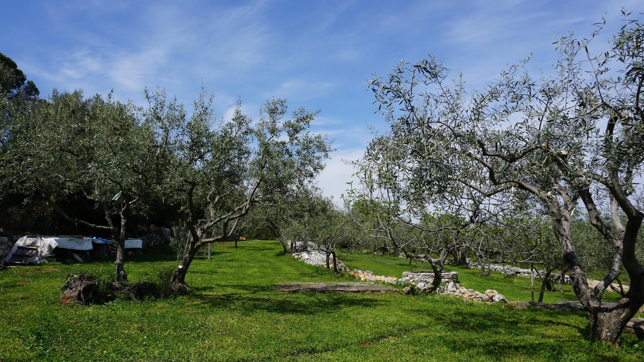 Photo of Outdoor in Drenje