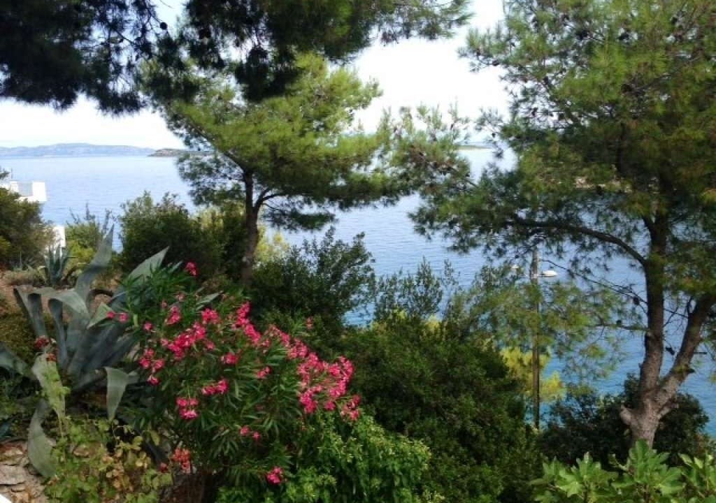 Photo of Others in Island Dugi Otok