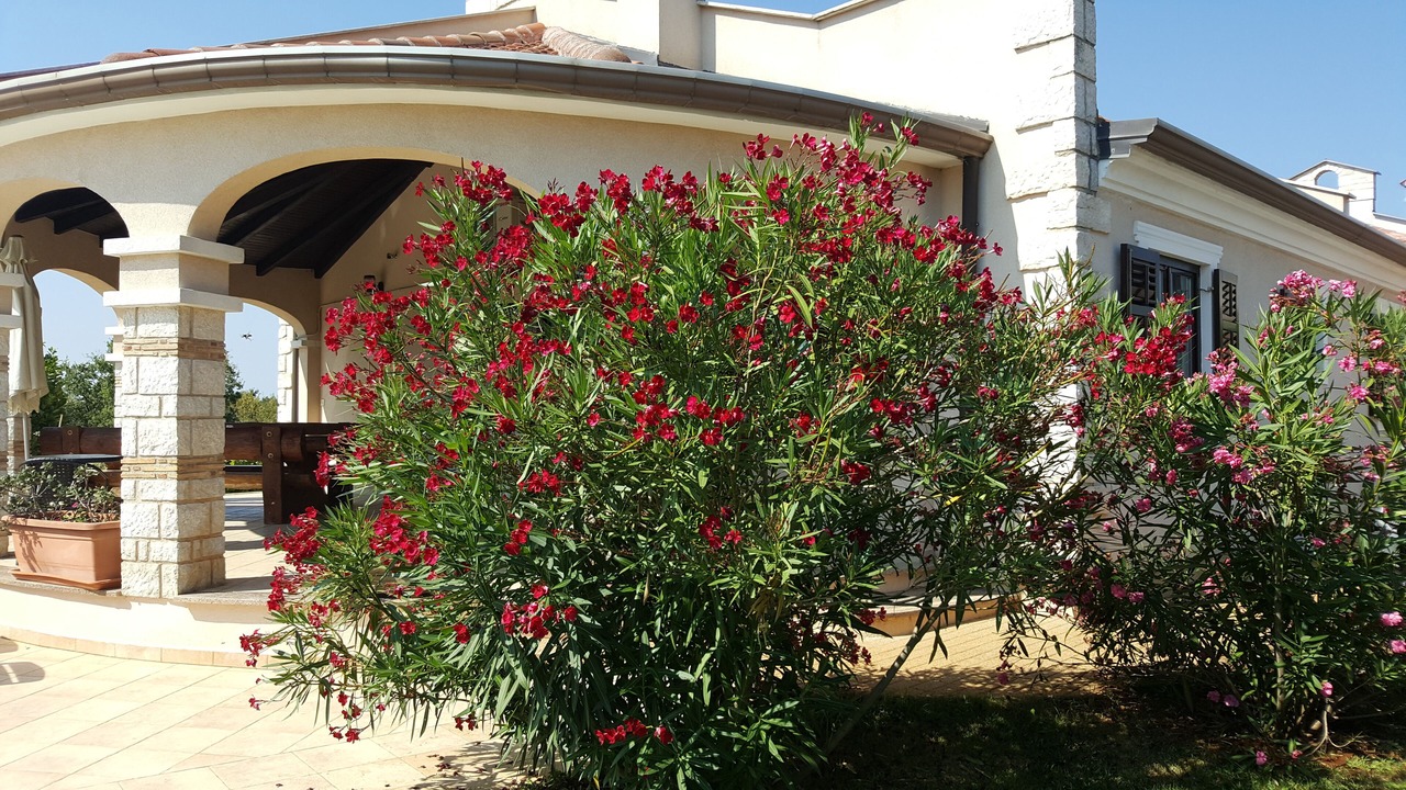 Photo of Outdoor in Zbandaj