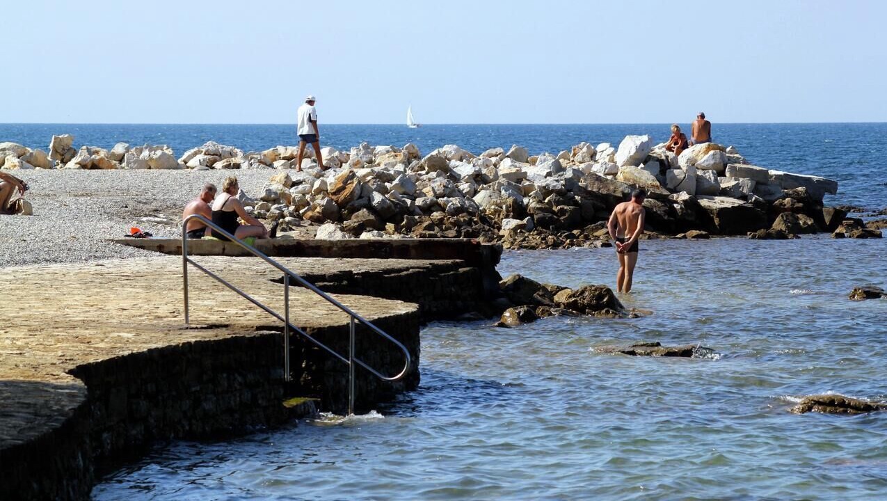 Photo of Others in Spadici