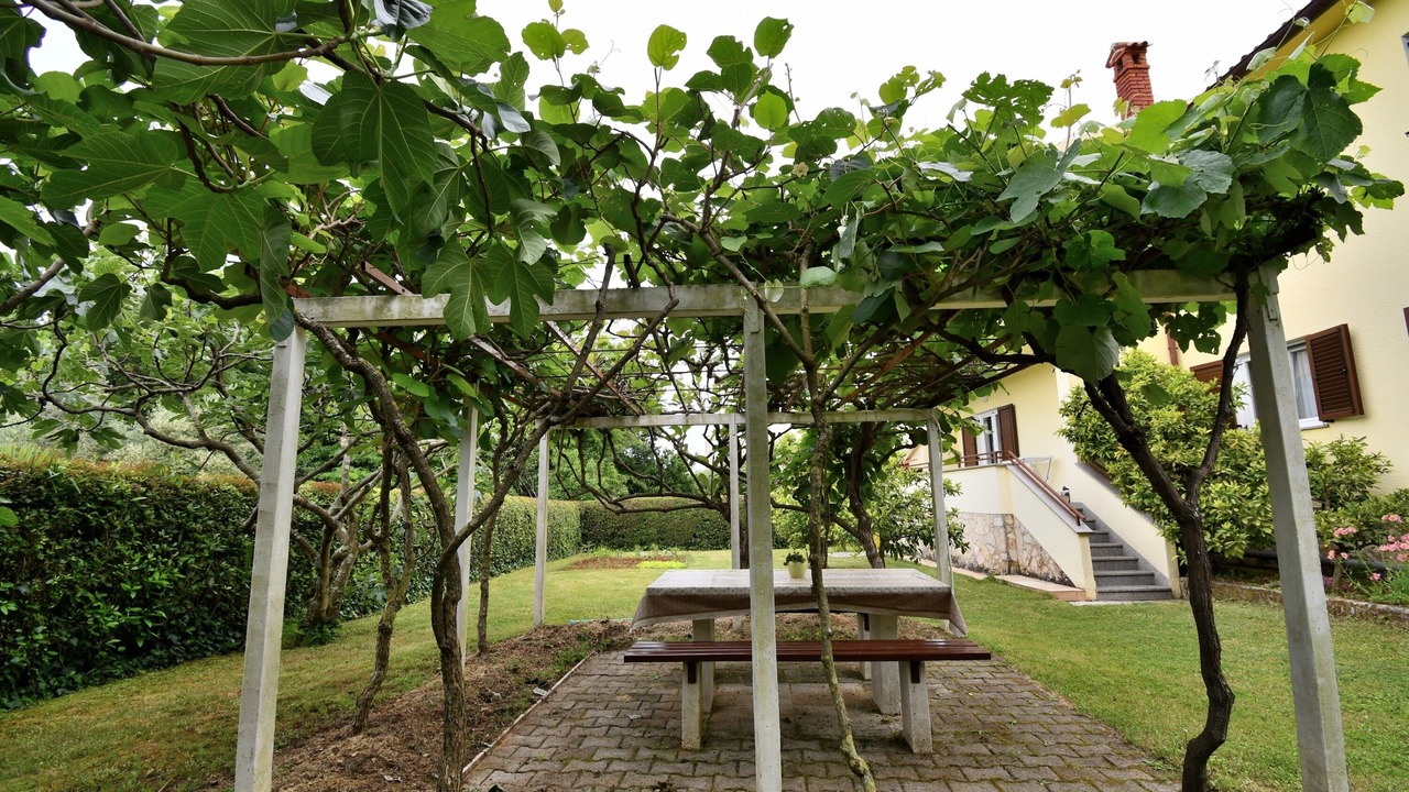 Photo of Outdoor in Spadici