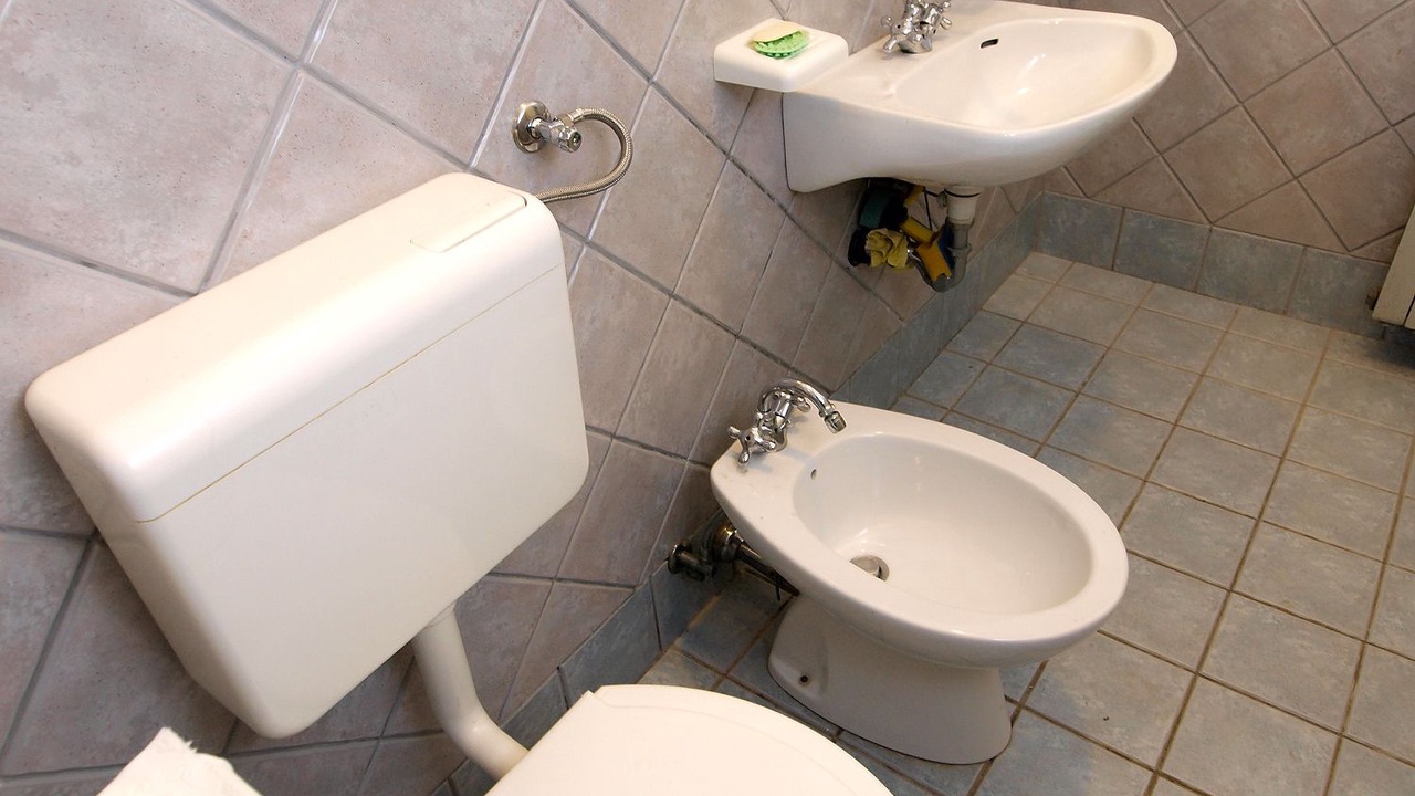 Photo of Bathroom in Medulin