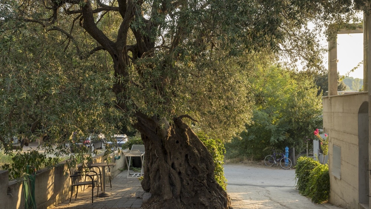 Photo of Outdoor in Zuljana