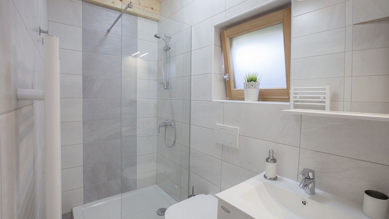 Photo of Bathroom in Bled