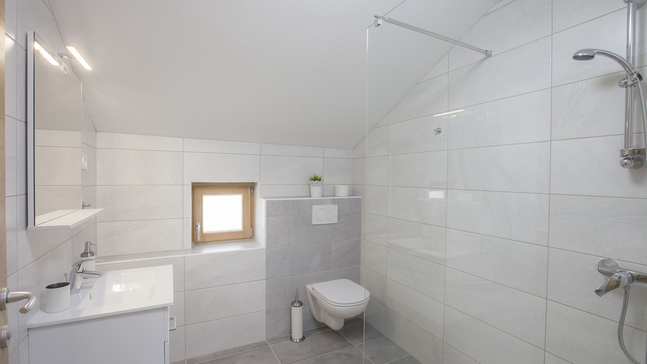 Photo of Bathroom in Bled