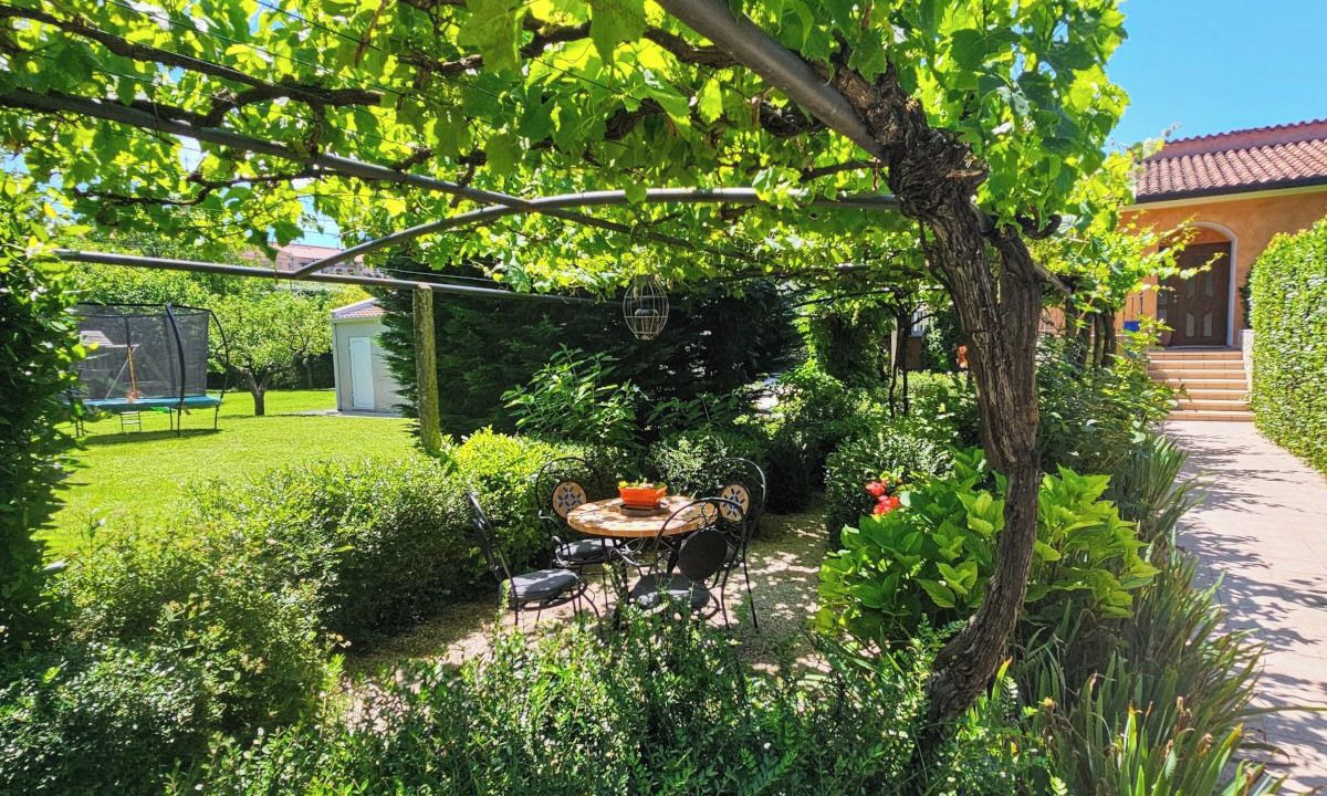 Photo of Outdoor in Nedescina