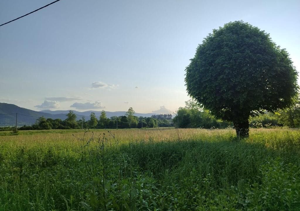 Photo of Others in Plaski