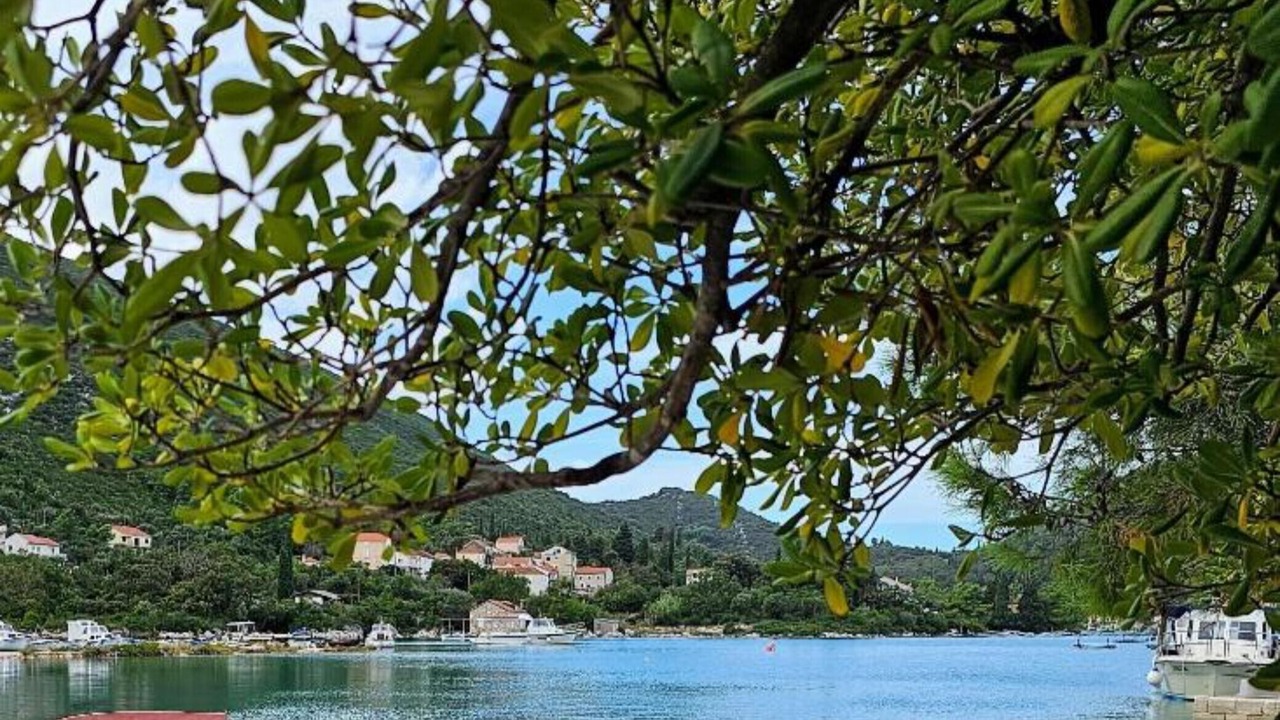 Photo of Outdoor in Hodilje