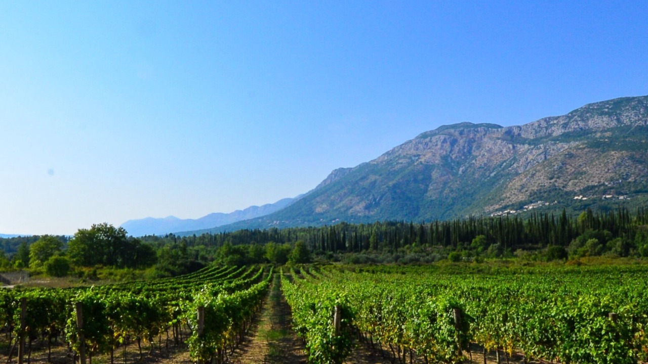 Photo of Outdoor in Zastolje