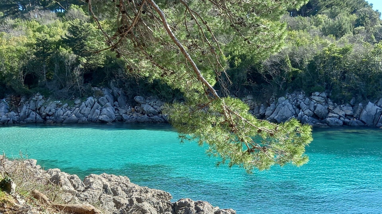 Photo of Others in Gostinjac