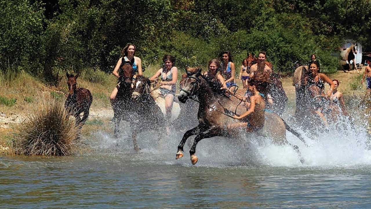 Photo of Others in Grandici