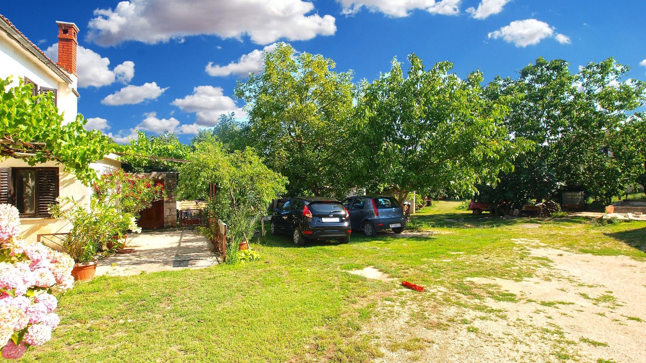 Photo of Others in Svetvincenat