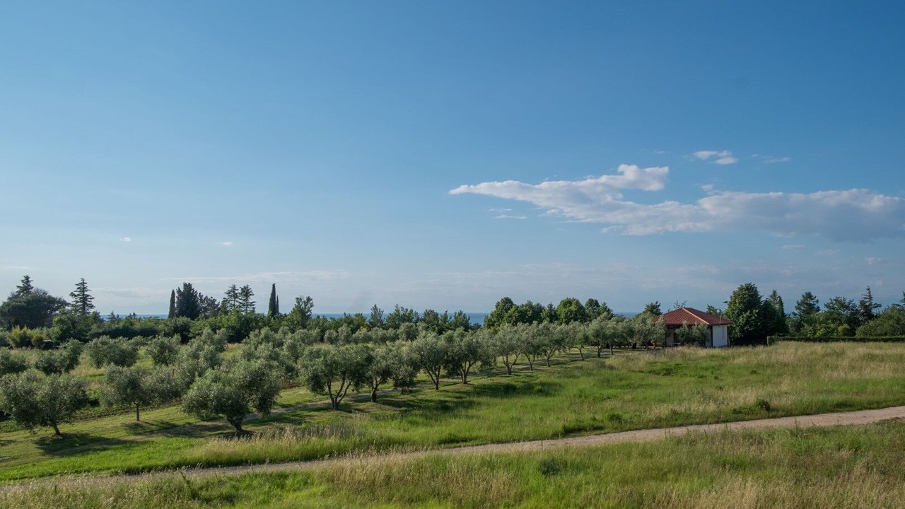 Photo of Others in Crveni Vrh