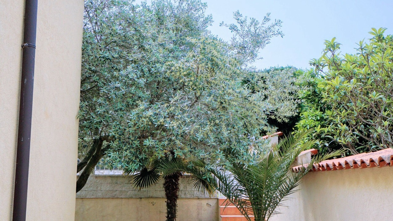 Photo of Outdoor in Crveni Vrh