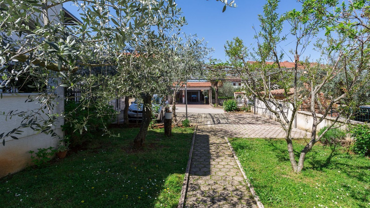 Photo of Outdoor in Spadici