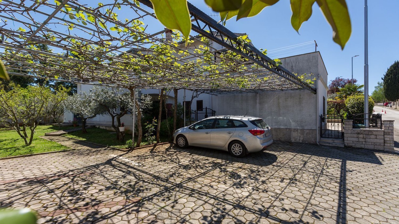 Photo of Outdoor in Spadici
