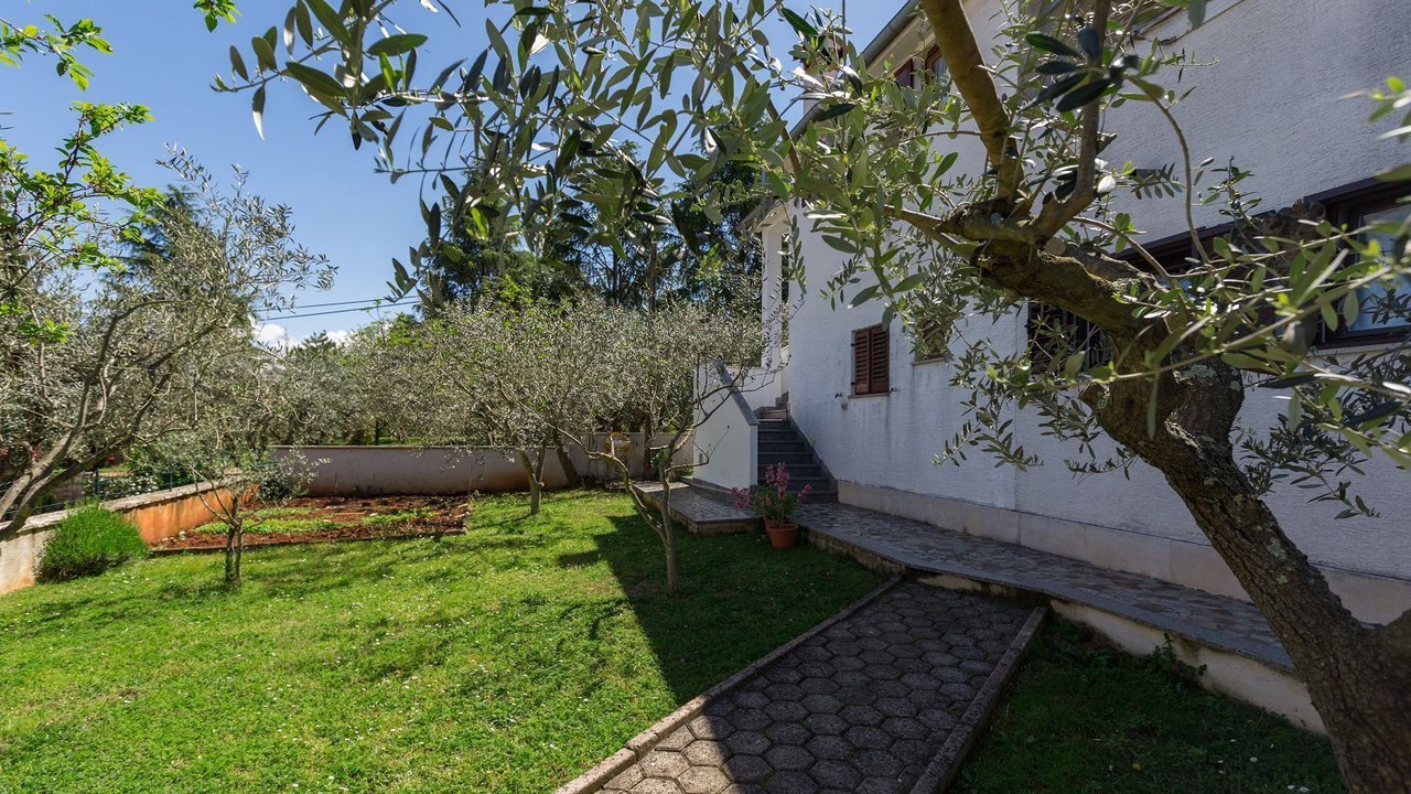 Photo of Outdoor in Spadici