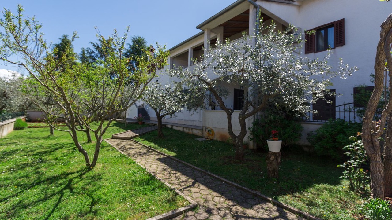 Photo of Outdoor in Spadici