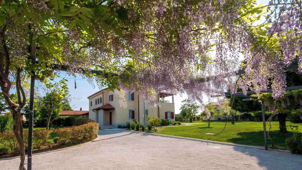 Photo of Outdoor in Butkovici