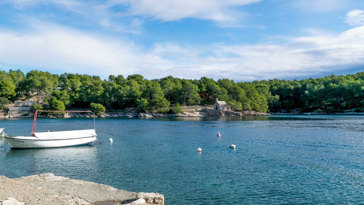Photo of Others in Cove Osibova (Milna)