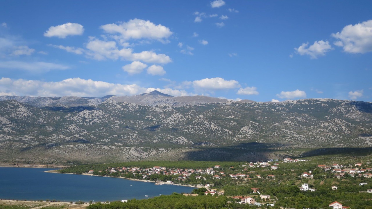 Photo of Others in Seline