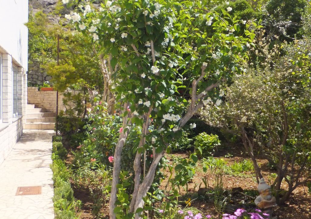 Photo of Outdoor in Rab Town
