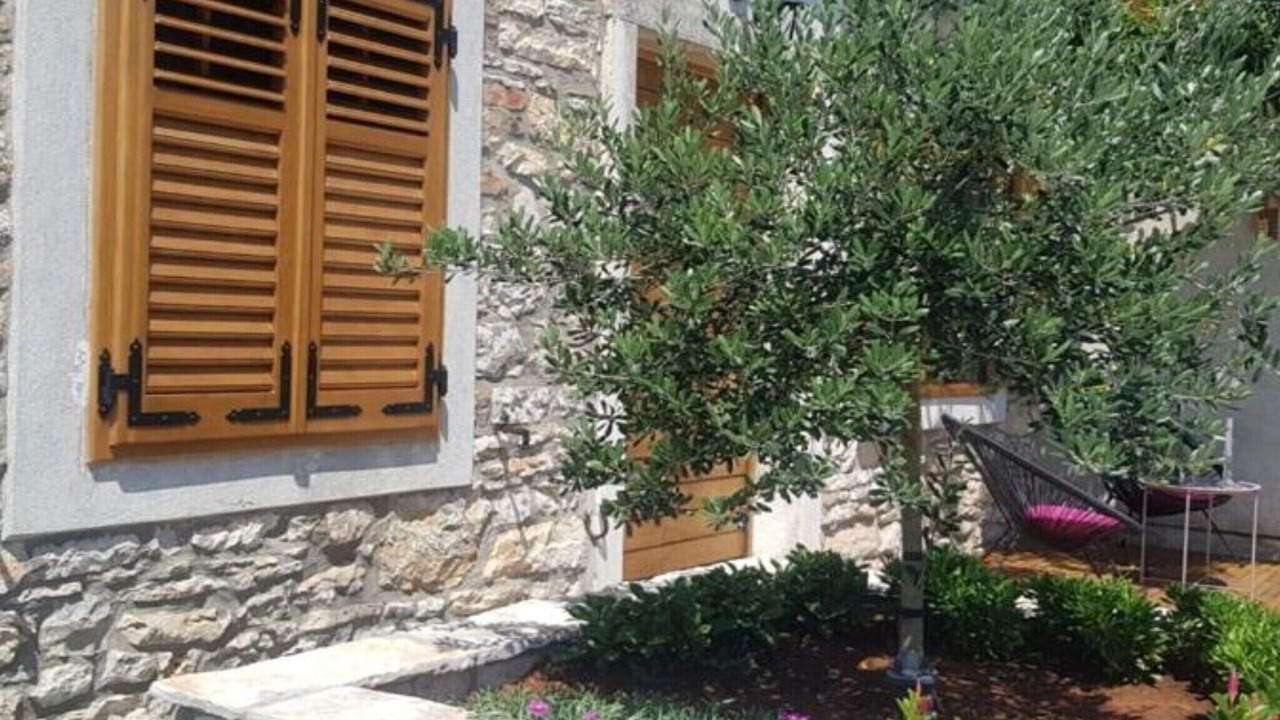 Photo of Outdoor in Loborika