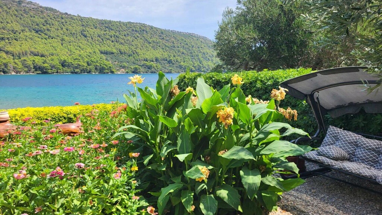 Photo of Outdoor in Broce