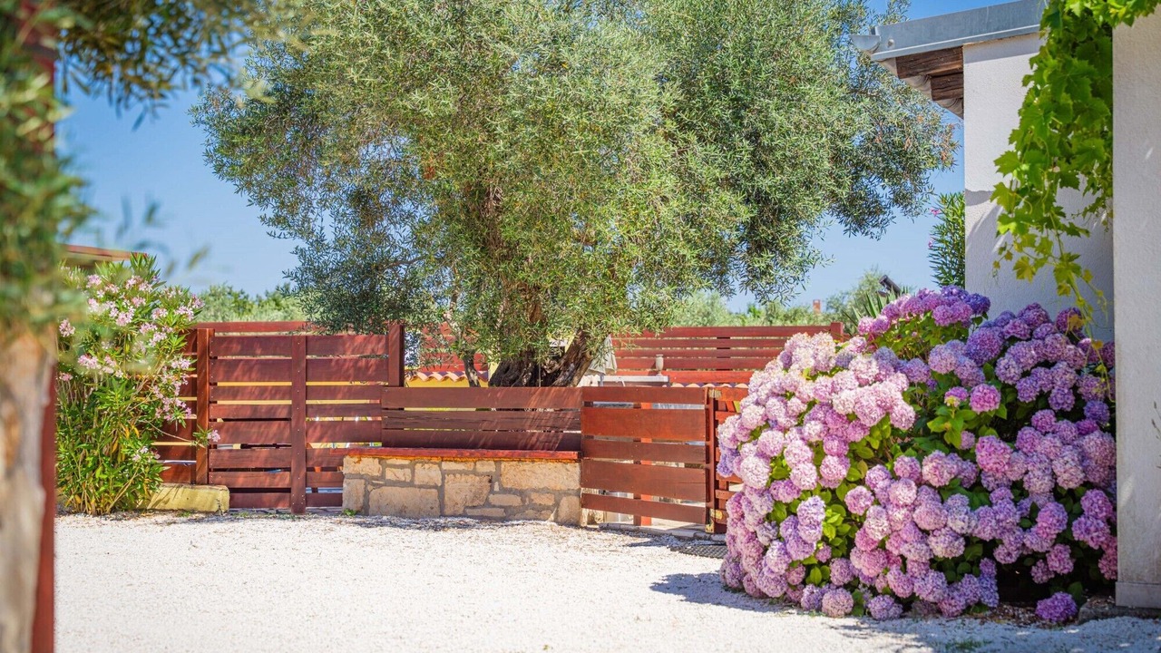 Photo of Outdoor in Muntic