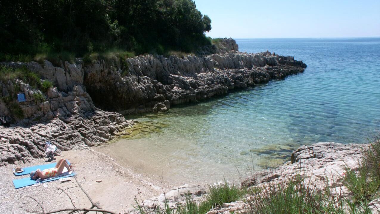 Photo of Others in Viskovici