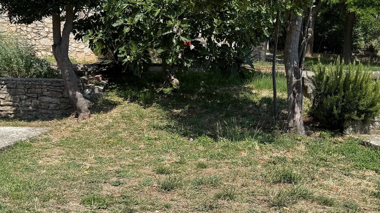 Photo of Outdoor in Viskovici