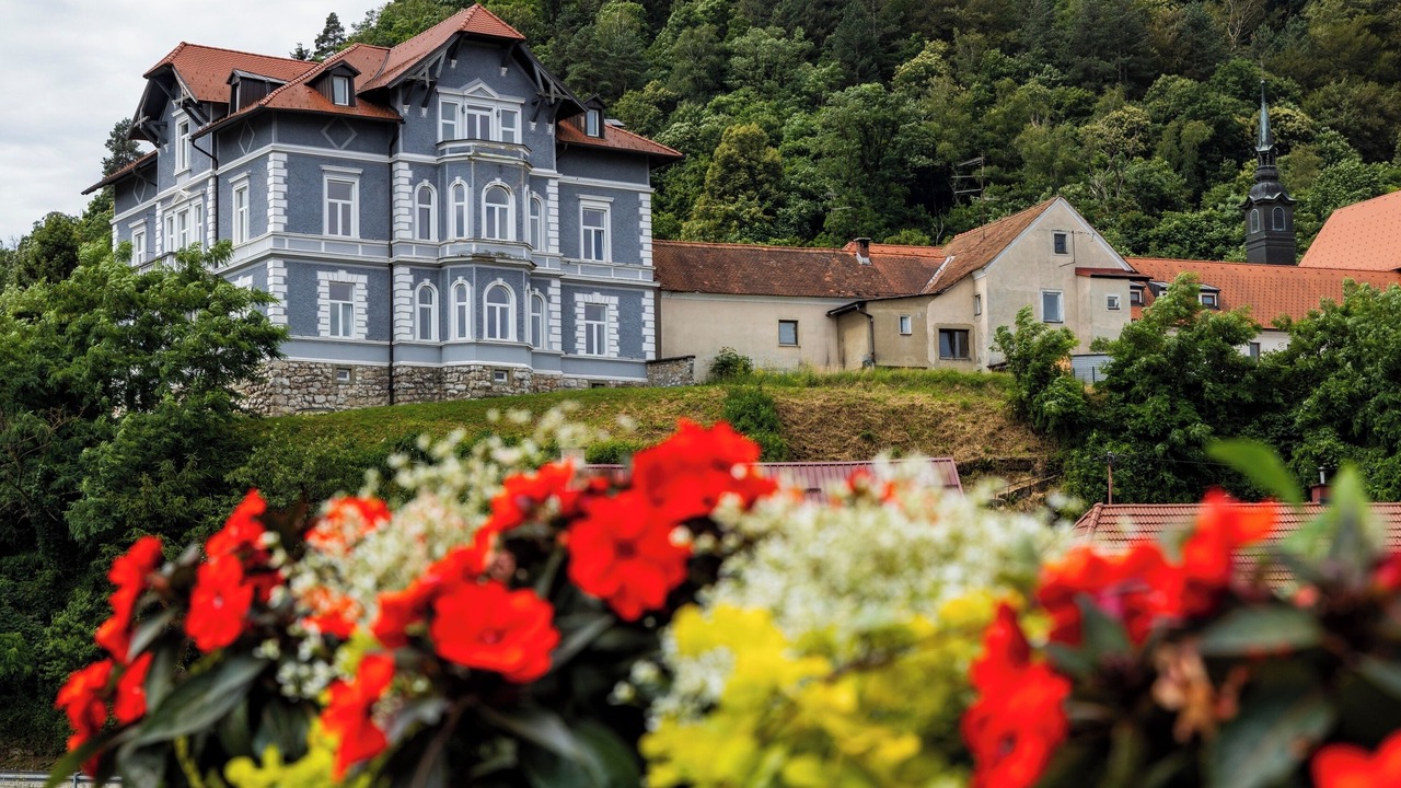 Photo of Others in Zalec
