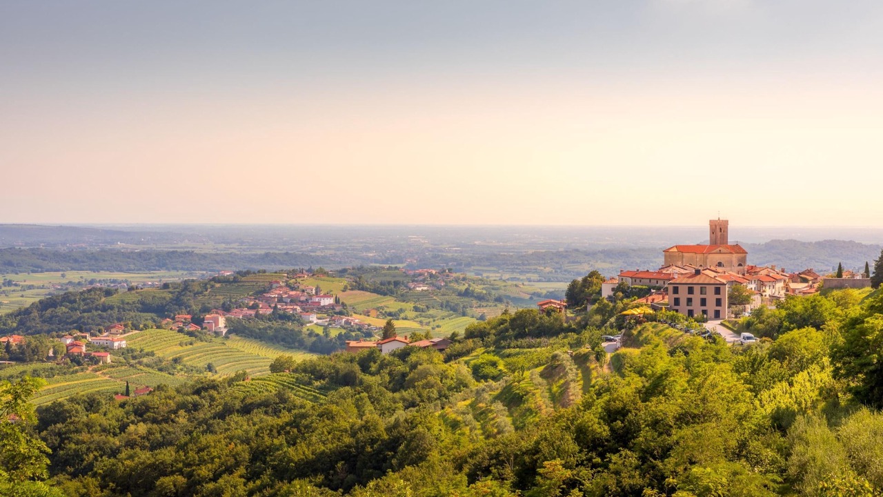 Photo of Outdoor in Brda