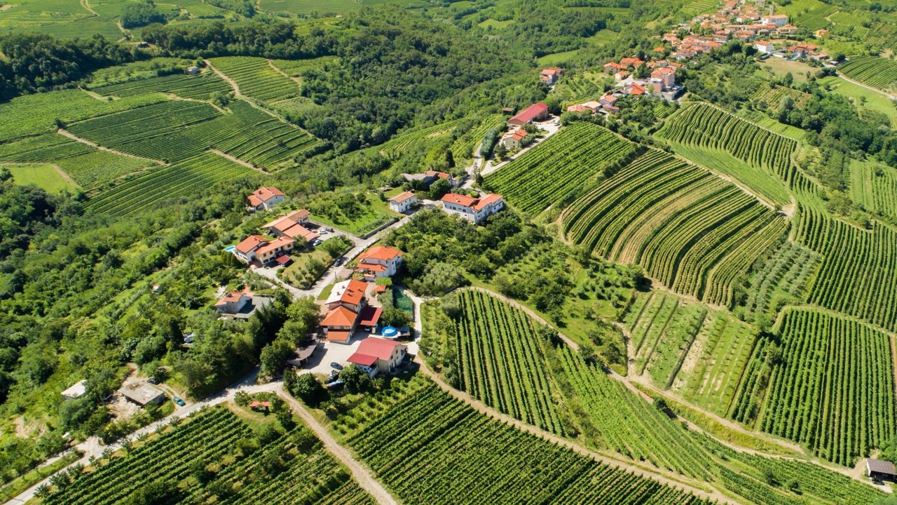 Photo of Outdoor in Brda