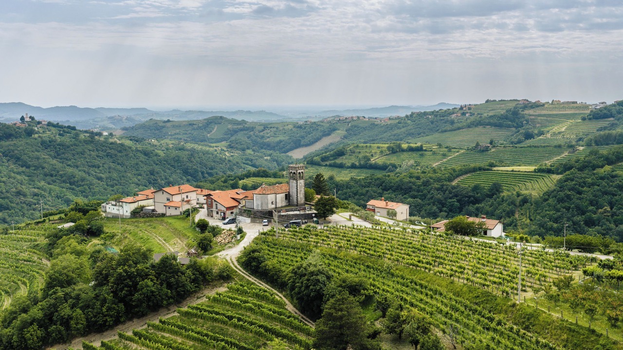 Photo of Outdoor in Brda