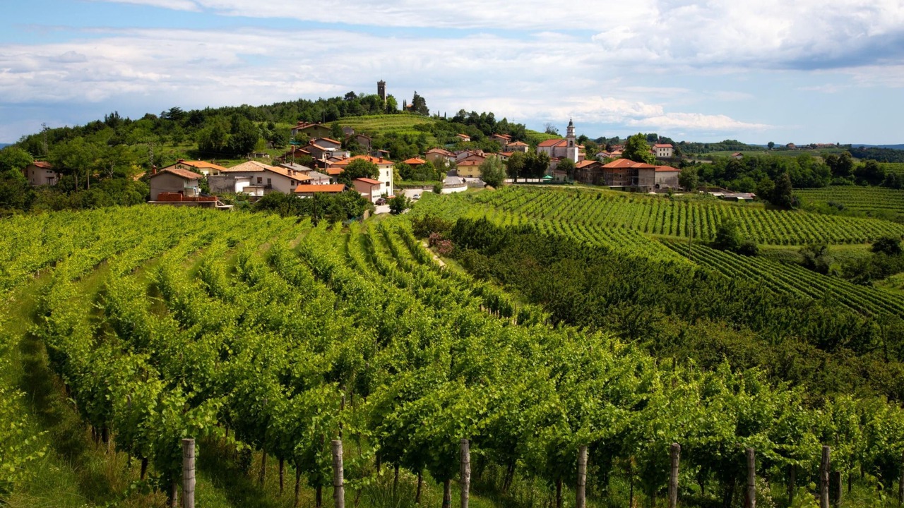 Photo of Outdoor in Brda