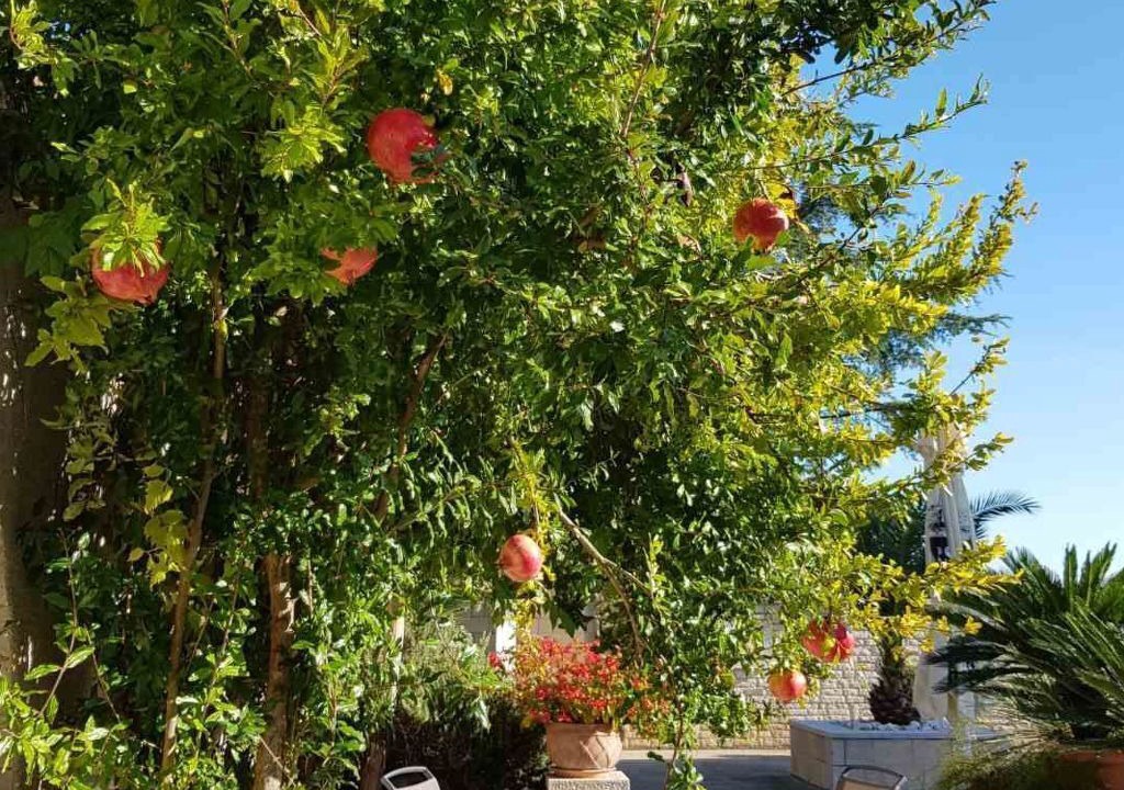 Photo of Outdoor in Buici