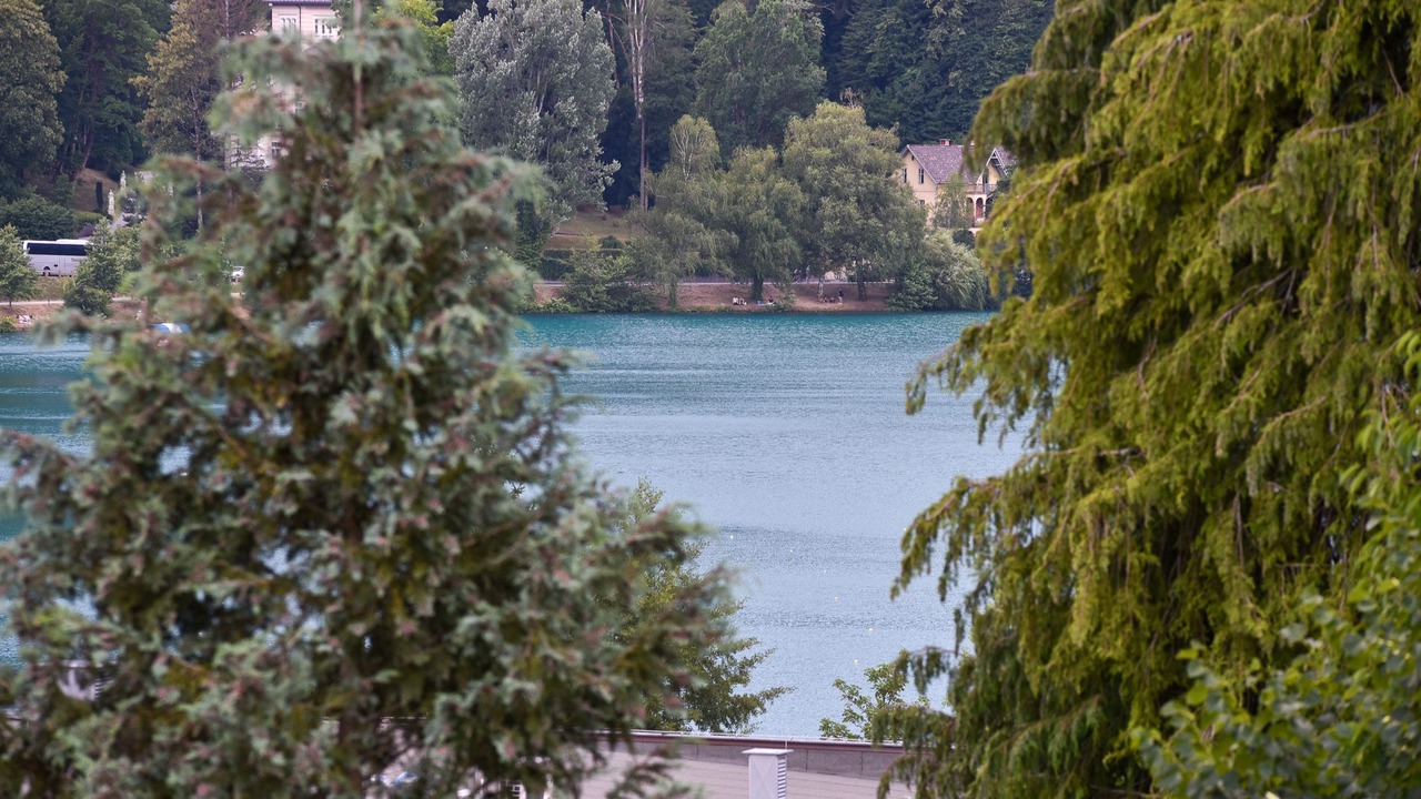 Photo of Others in Bled