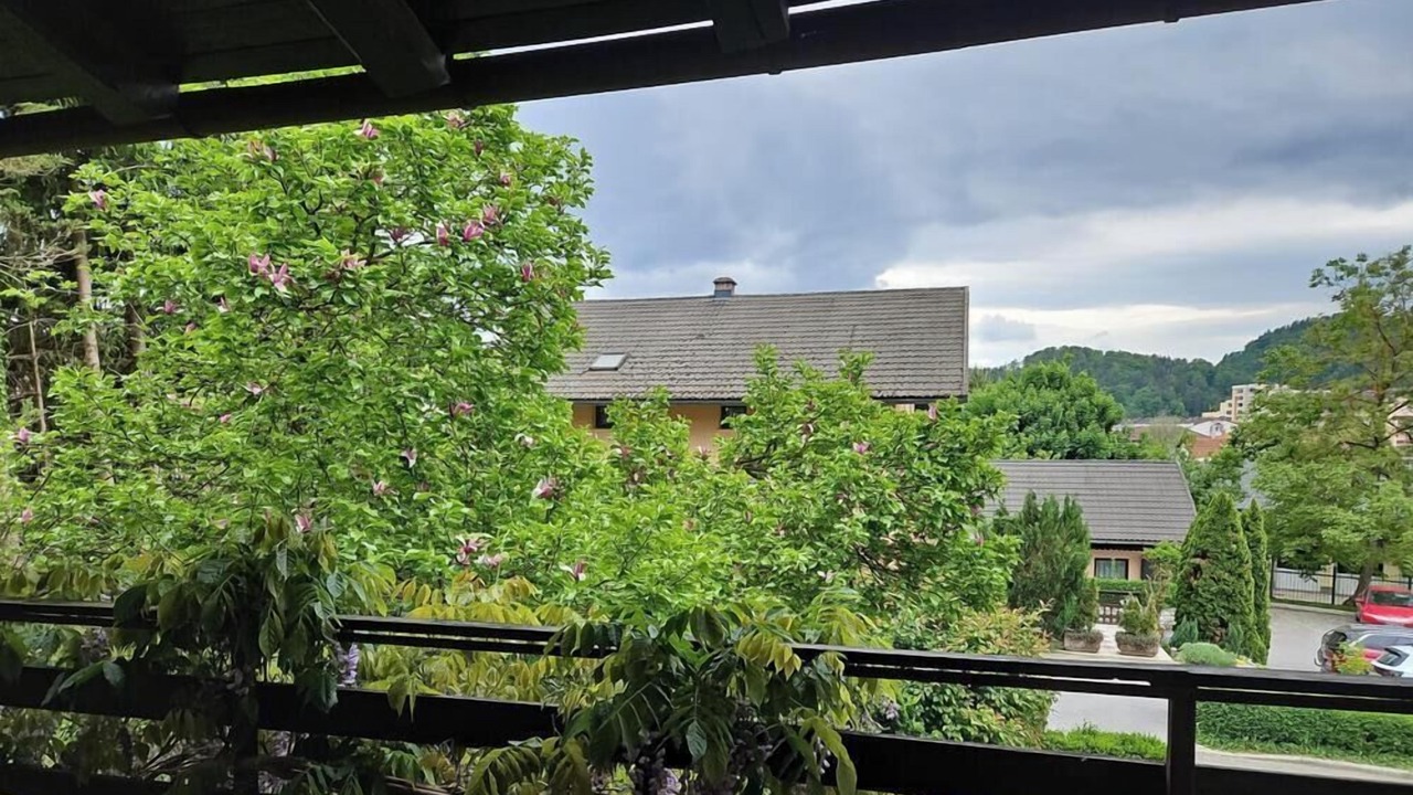 Photo of Outdoor in Velenje