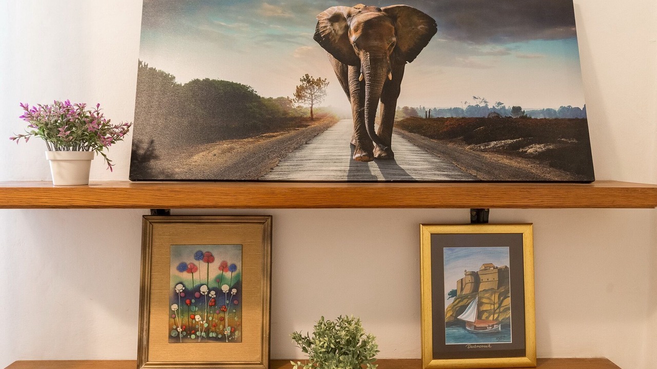 Photo of Livingroom in Lapad