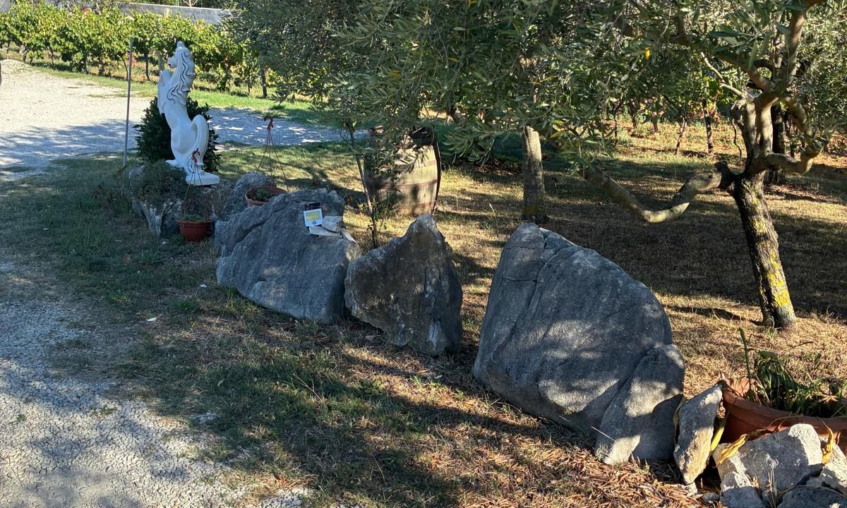Photo of Outdoor in Ripenda Verbanci
