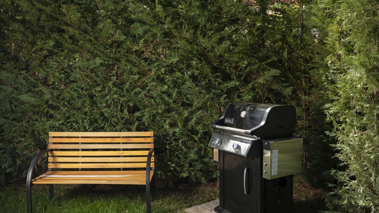 Photo of Outdoor in Muntic