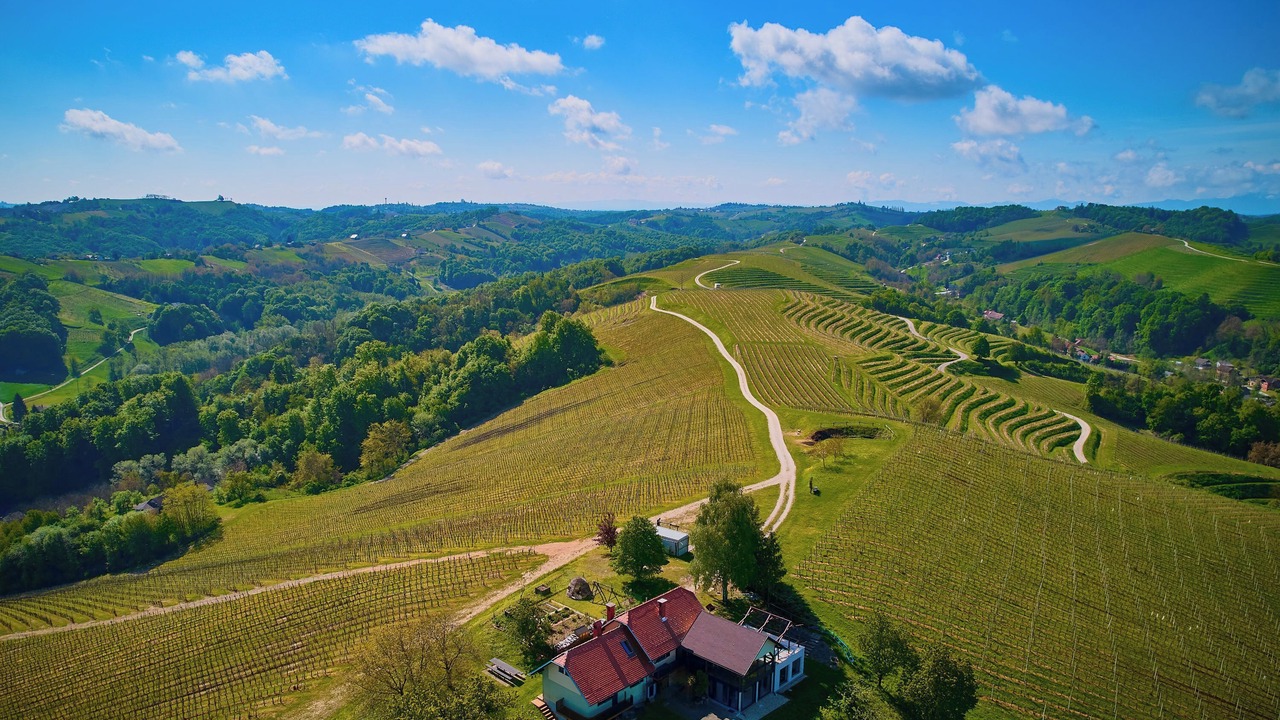 Photo of Outdoor in Ljutomer