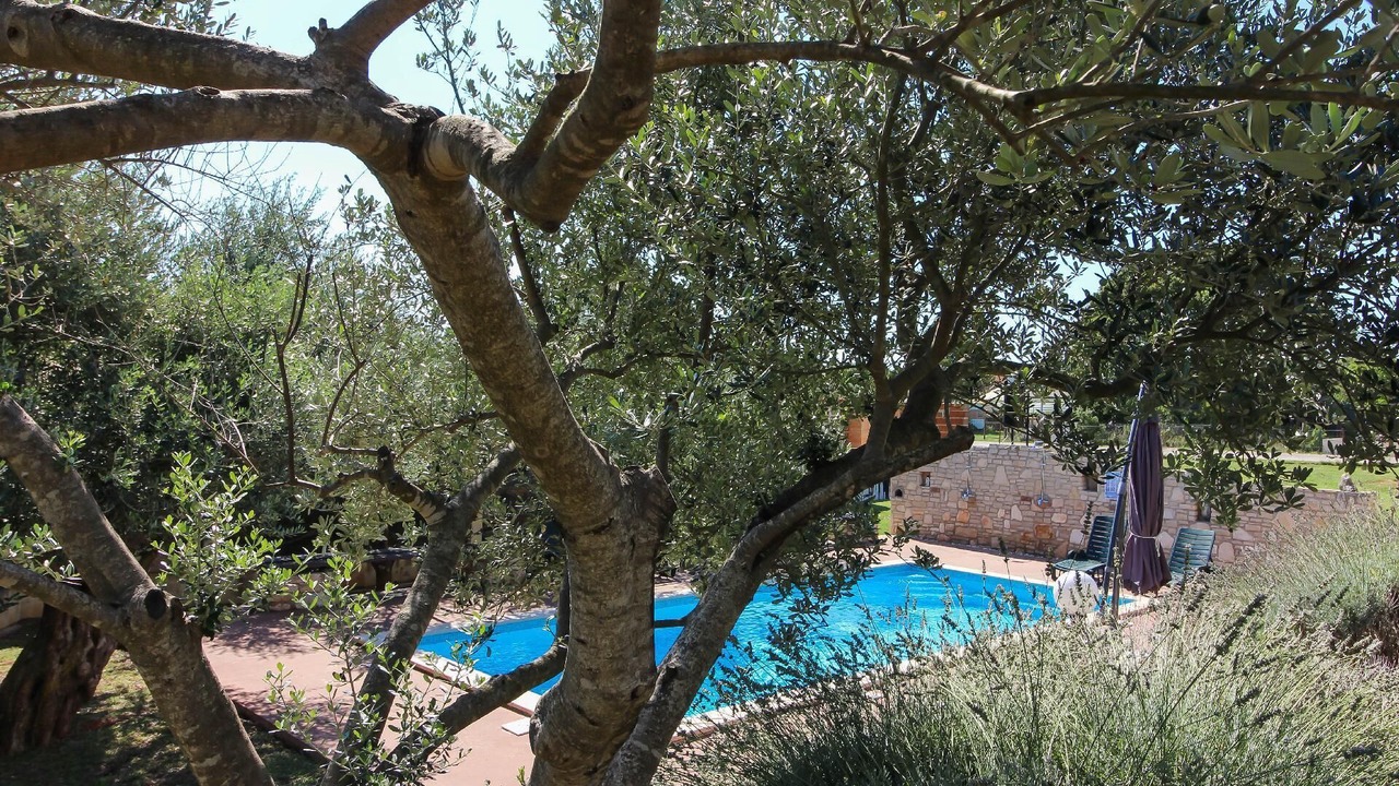 Photo of Outdoor in Pavicini