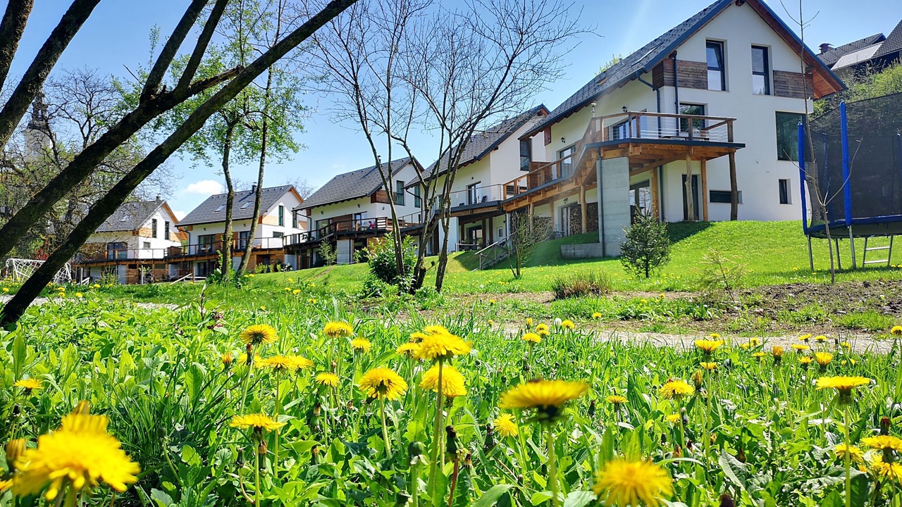 Photo of Others in Visoko